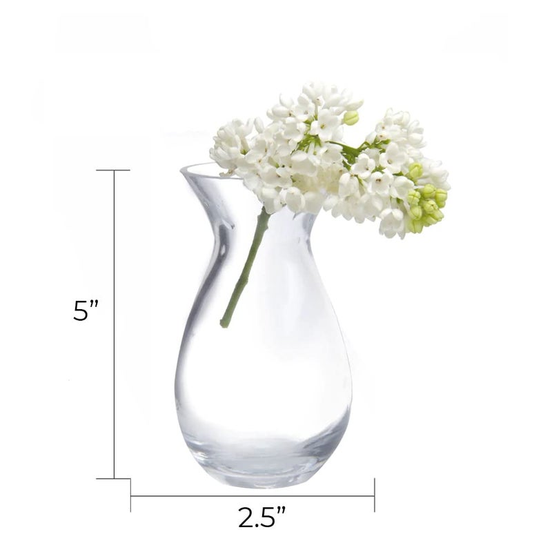 CHIVE â€˜Georgeâ€™ Glass Bottle Flower Vases â€” Set of 6 â€” Small, Elegant Clear Glass Bud Vases â€” Bulk Pack for Home Decor & Table Centerpieces â€” Shape 2 (Oval, 5" Tall, 2.5" Wide) - Image 3